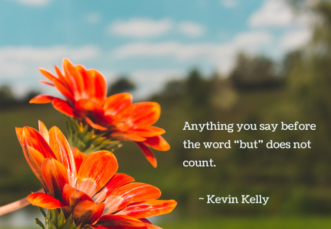 Kevin Kelly quote.